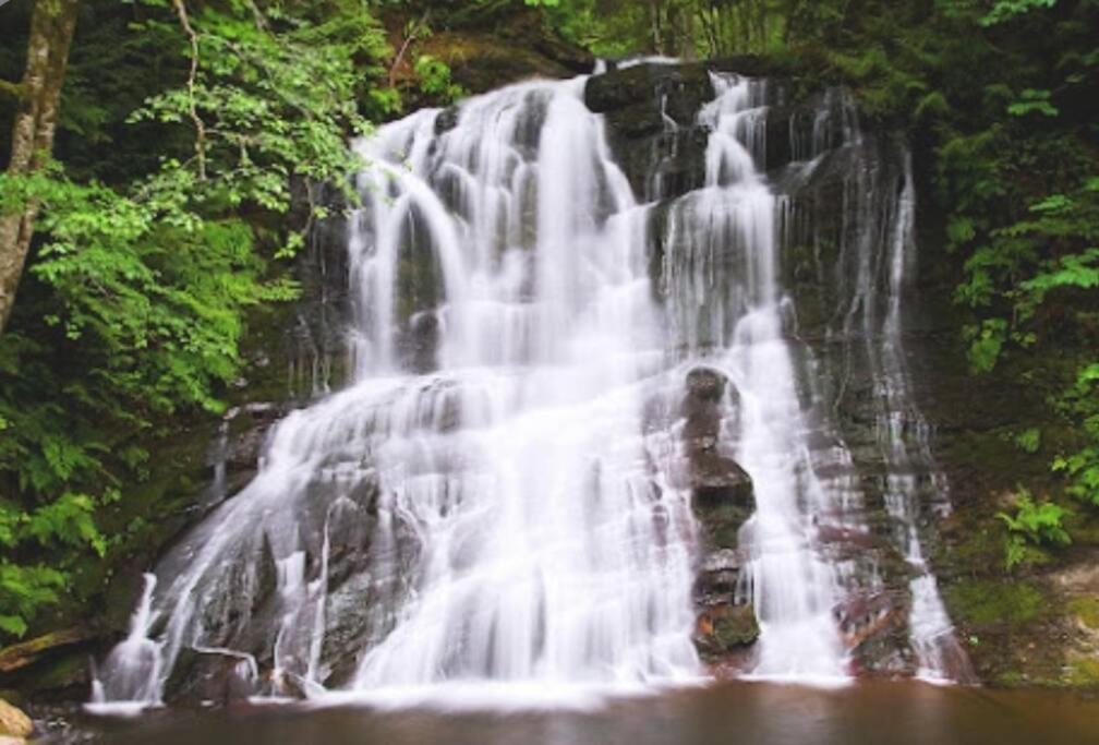 Вилла Nature Lovers' Paradise Нанаймо Экстерьер фото