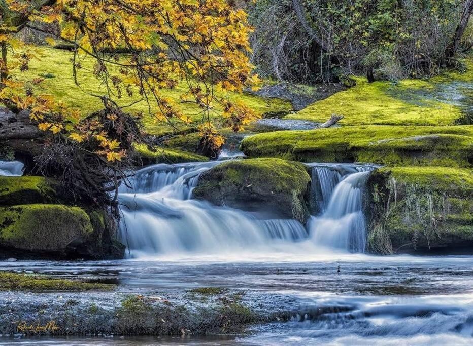 Вилла Nature Lovers' Paradise Нанаймо Экстерьер фото