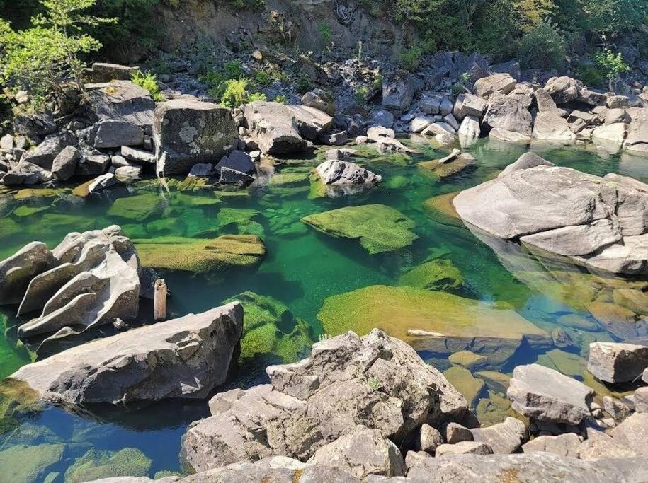 Вилла Nature Lovers' Paradise Нанаймо Экстерьер фото